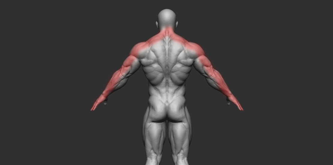Spine Related Arm Pain Spine Related Arm Pain